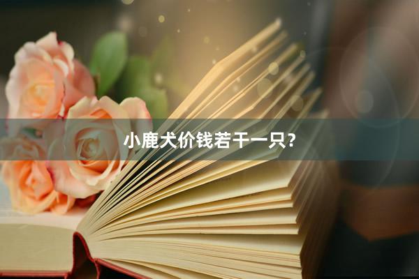 小鹿犬价钱若干一只？